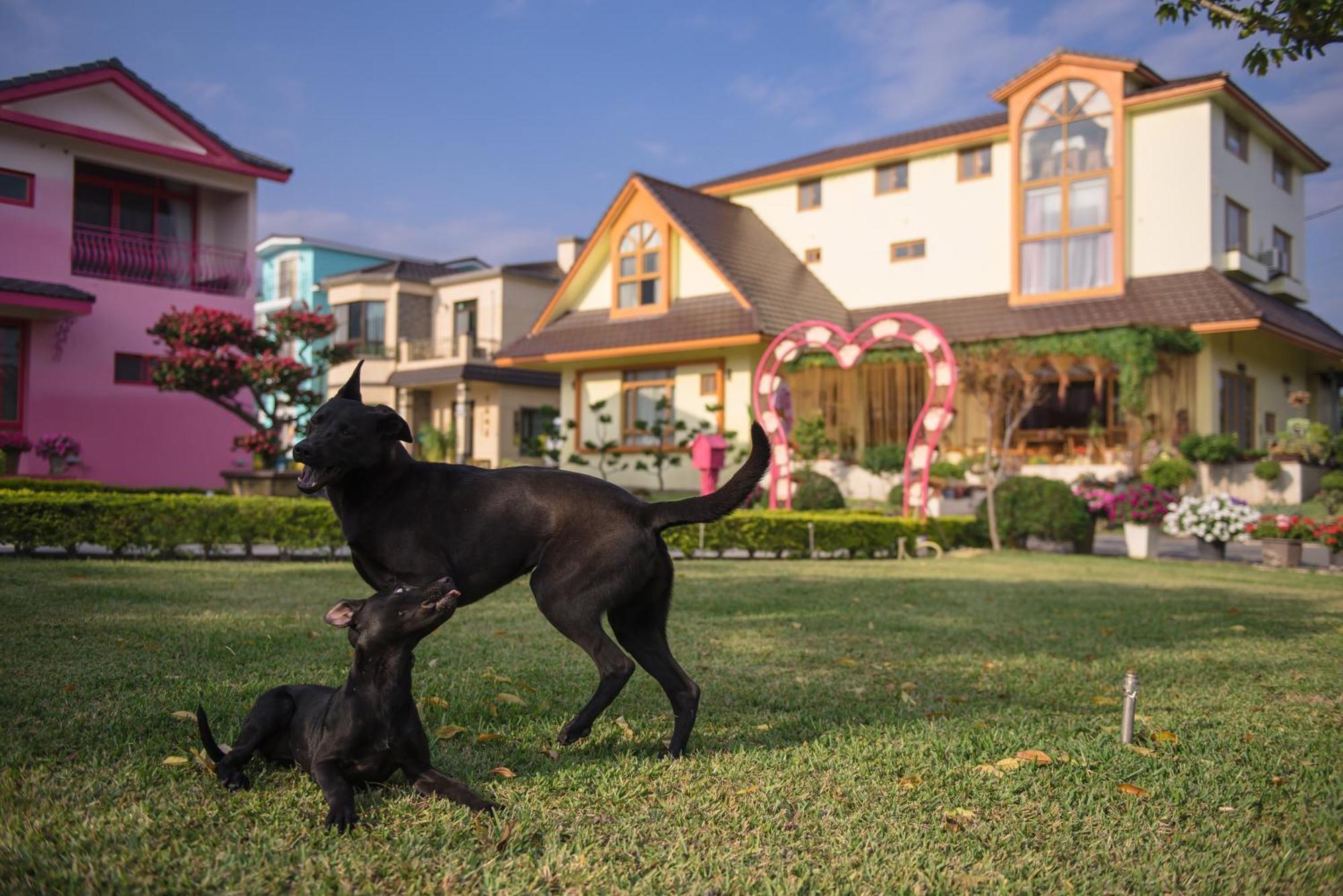 Xinfu Traveler Inn Taiping  Екстериор снимка