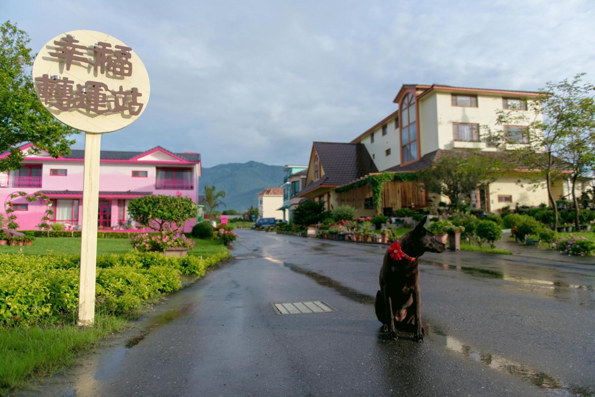 Xinfu Traveler Inn Taiping  Екстериор снимка