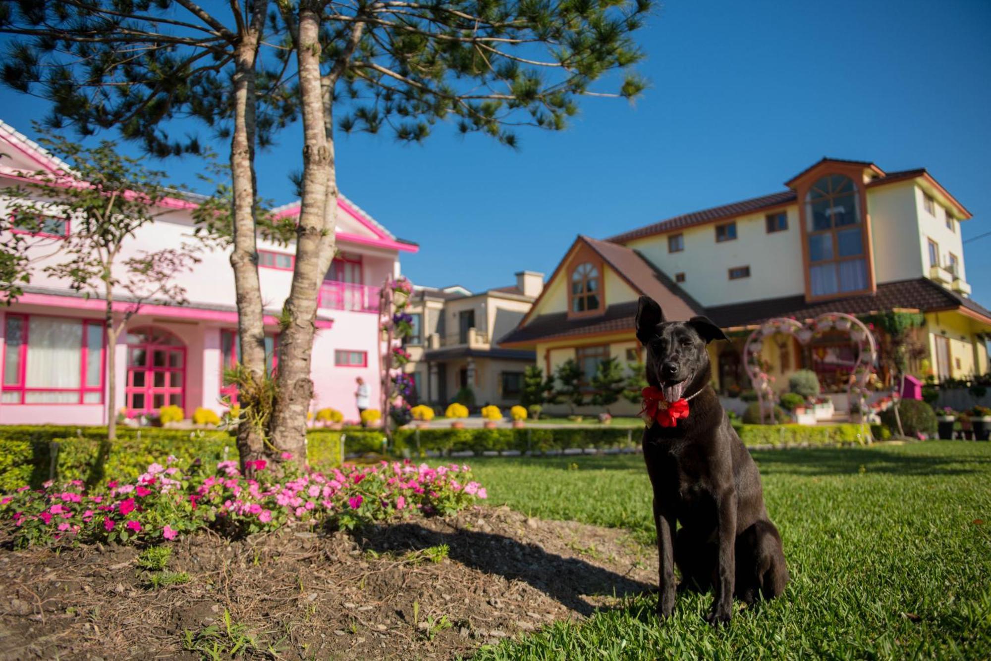 Xinfu Traveler Inn Taiping  Екстериор снимка